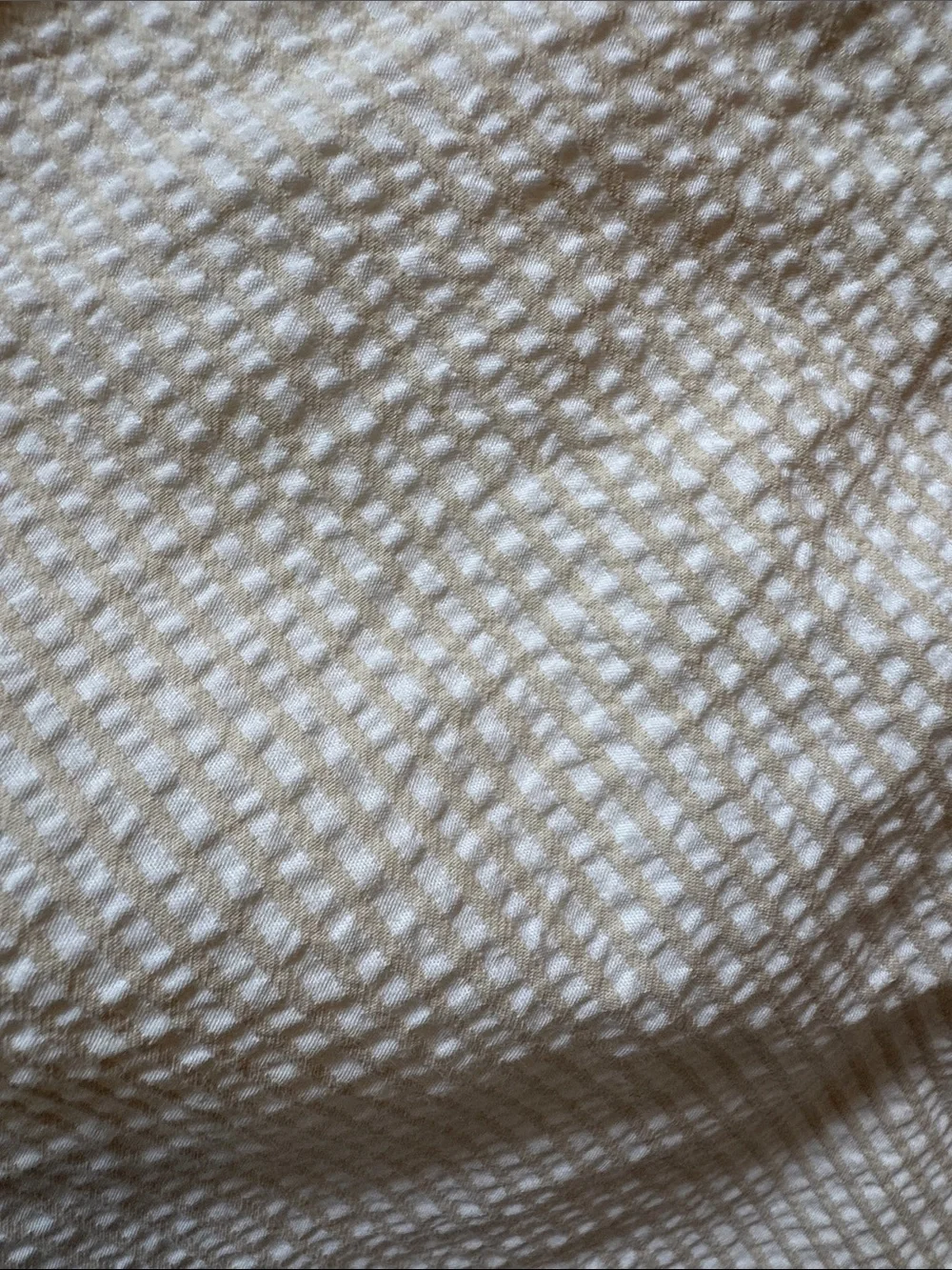 Women’s Textured Cream Dress Pants